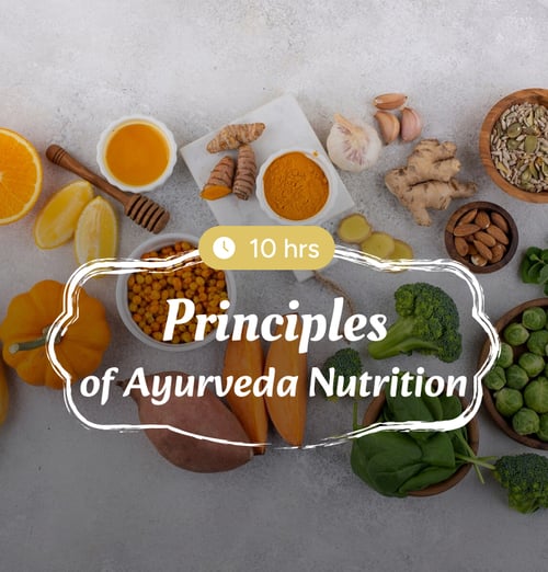 Learn the Principles of Ayurveda Nutrition in Just 10 Hours - All Online!!