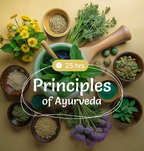 Find Wellness Through Ayurveda